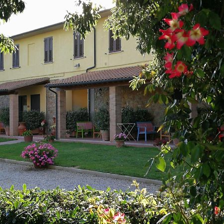 Agriturismo Il Cuscino Nel Pagliaio Campiglia Marittima Exterior foto