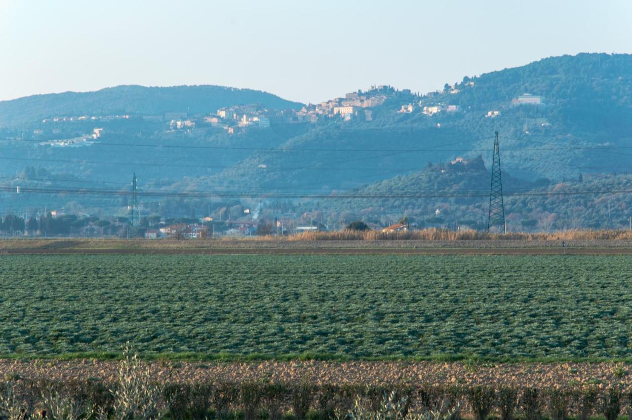 Agriturismo Il Cuscino Nel Pagliaio Campiglia Marittima Exterior foto