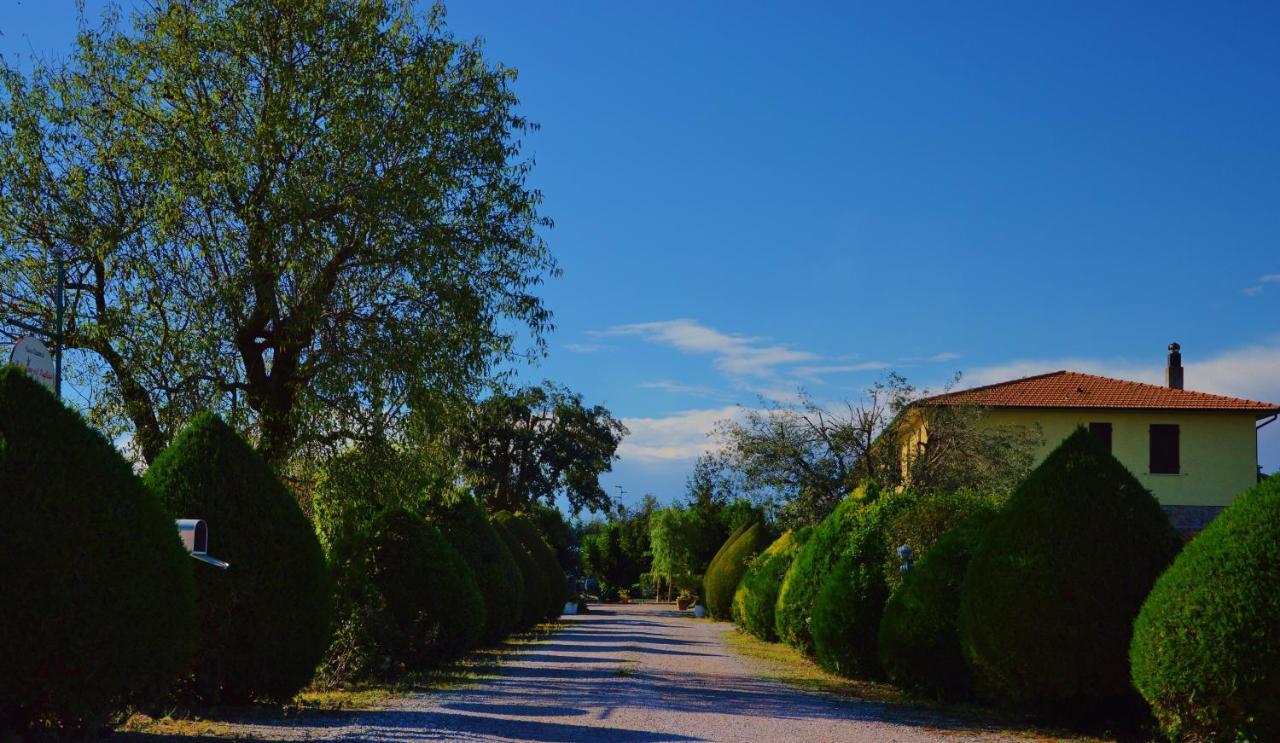 Agriturismo Il Cuscino Nel Pagliaio Campiglia Marittima Exterior foto