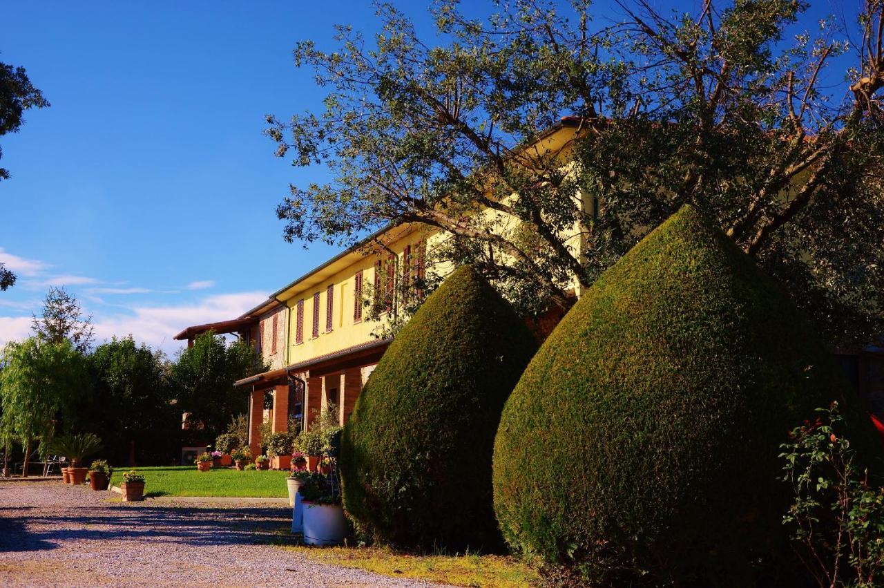 Agriturismo Il Cuscino Nel Pagliaio Campiglia Marittima Exterior foto