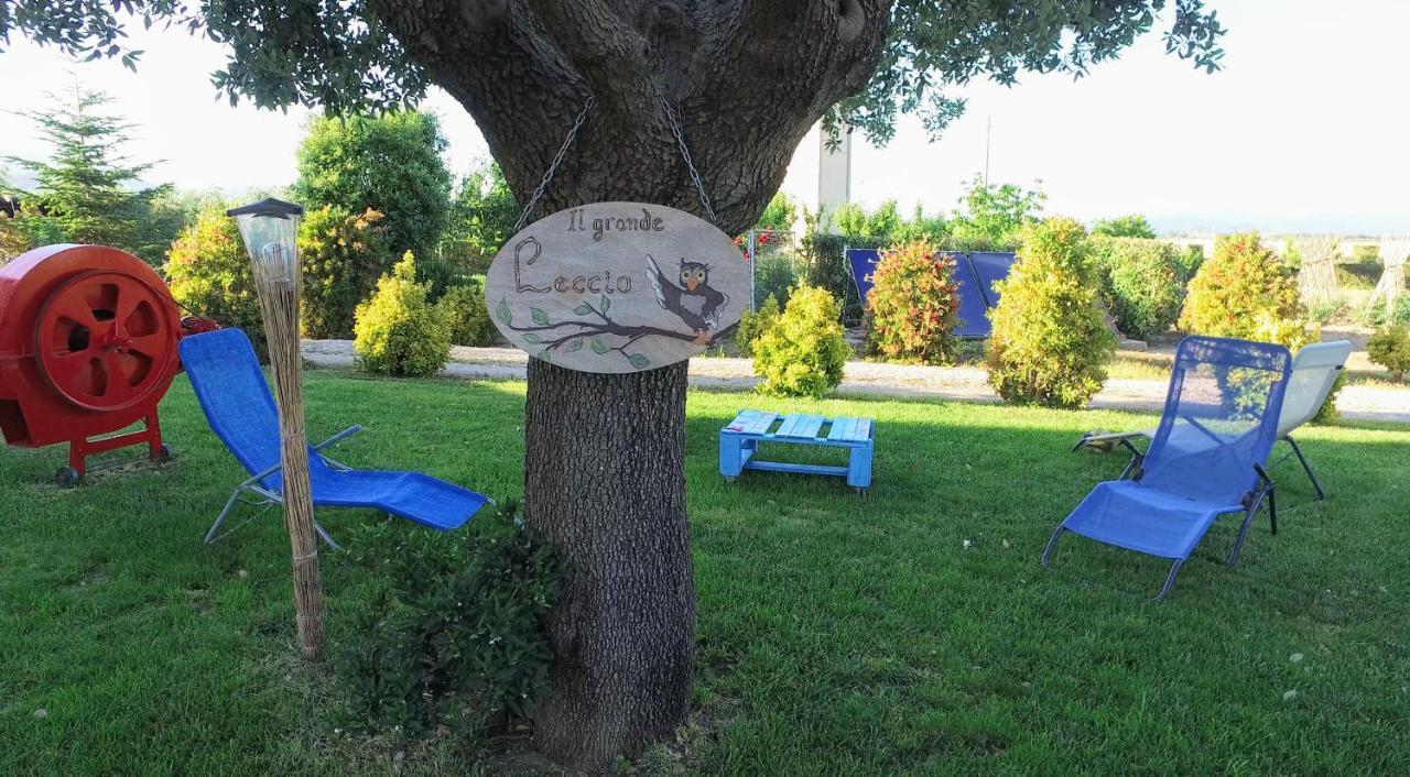 Agriturismo Il Cuscino Nel Pagliaio Campiglia Marittima Exterior foto