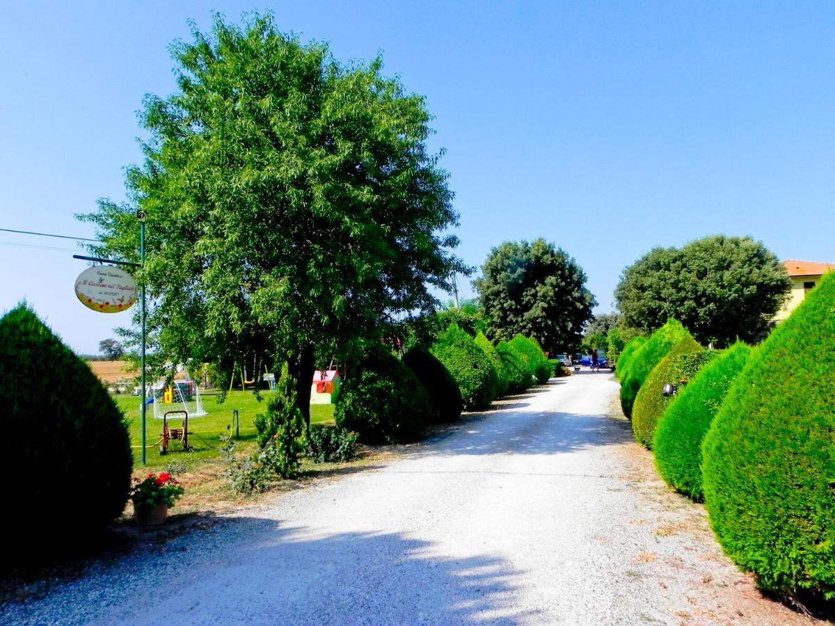 Agriturismo Il Cuscino Nel Pagliaio Campiglia Marittima Exterior foto