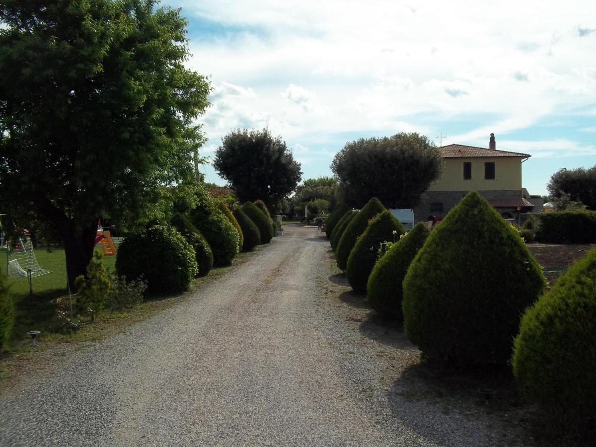 Agriturismo Il Cuscino Nel Pagliaio Campiglia Marittima Exterior foto